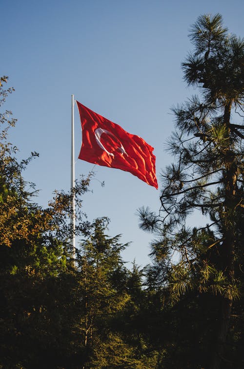 免費 國家, 國旗, 土耳其 的 免費圖庫相片 圖庫相片