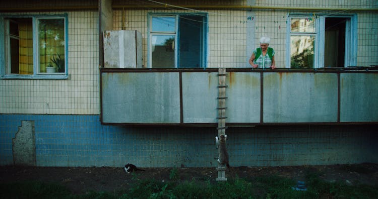 A Cat Near An Elderly Woman