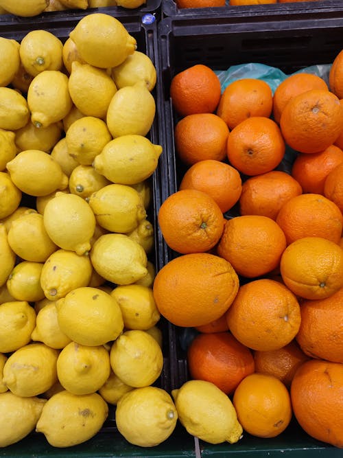 Kostnadsfri bild av apelsiner, behållare, citroner