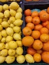 Citrus Fruits on Plastic Containers