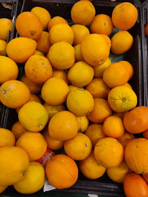 Orange Fruits on Black Plastic Container