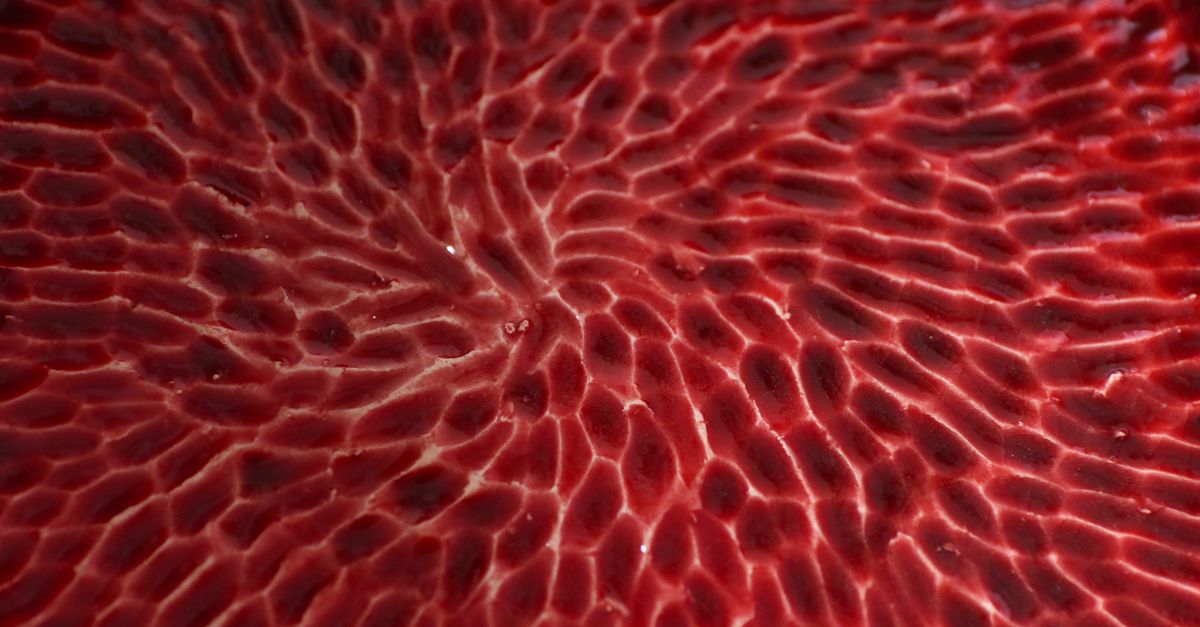 Close-Up Photo of a Red Pattern · Free Stock Photo
