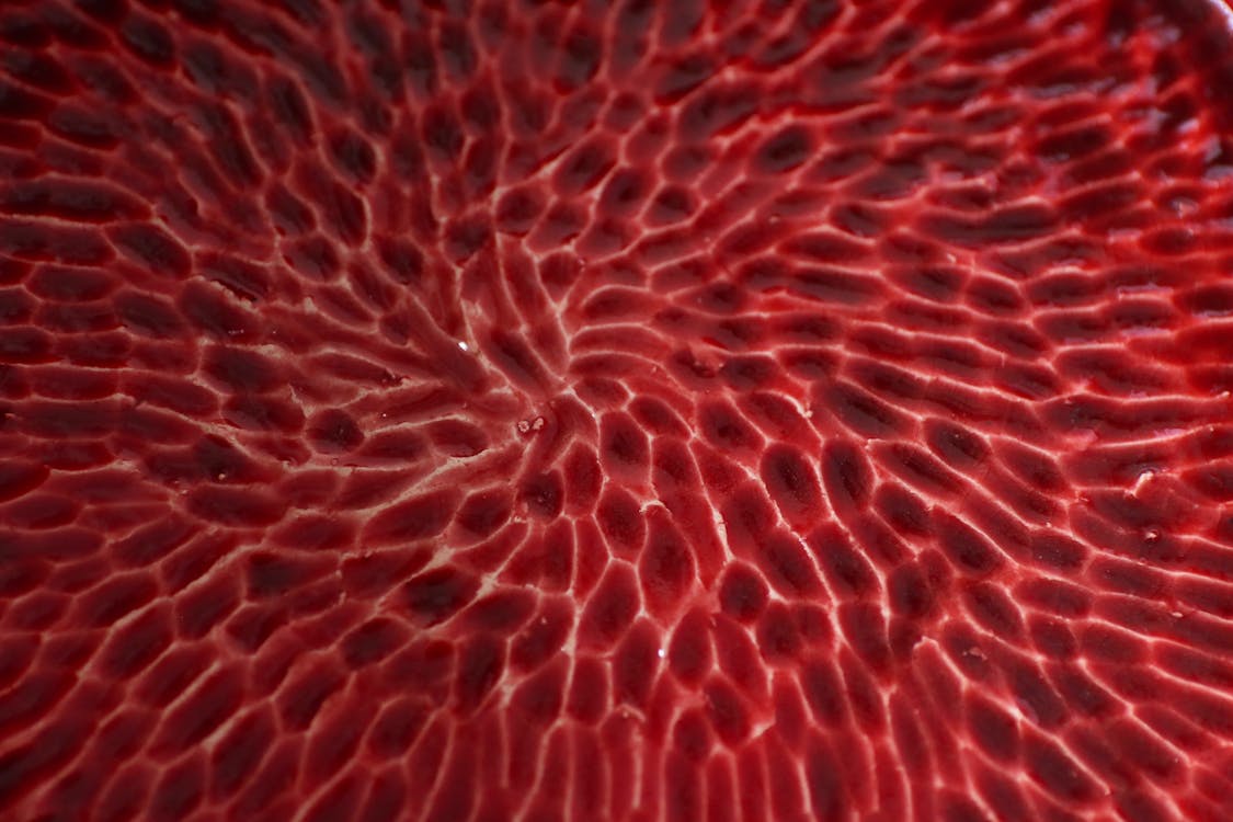 Close-Up Photo of a Red Pattern · Free Stock Photo