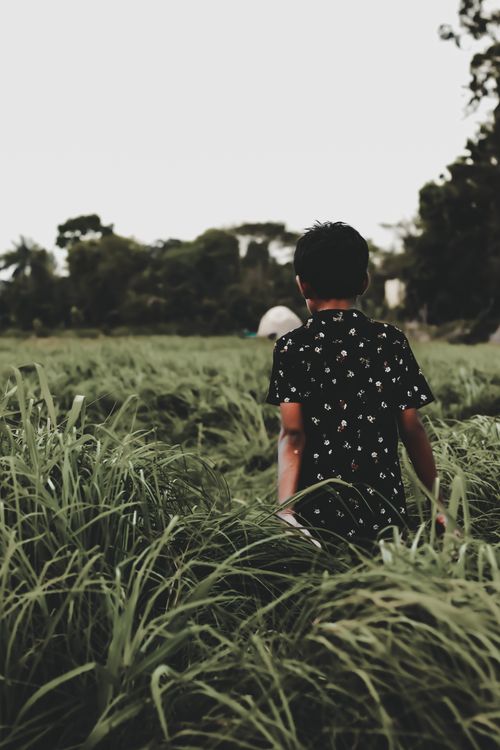 Free A young boy walks through a lush green meadow surrounded by tall grass and nature. Stock Photo