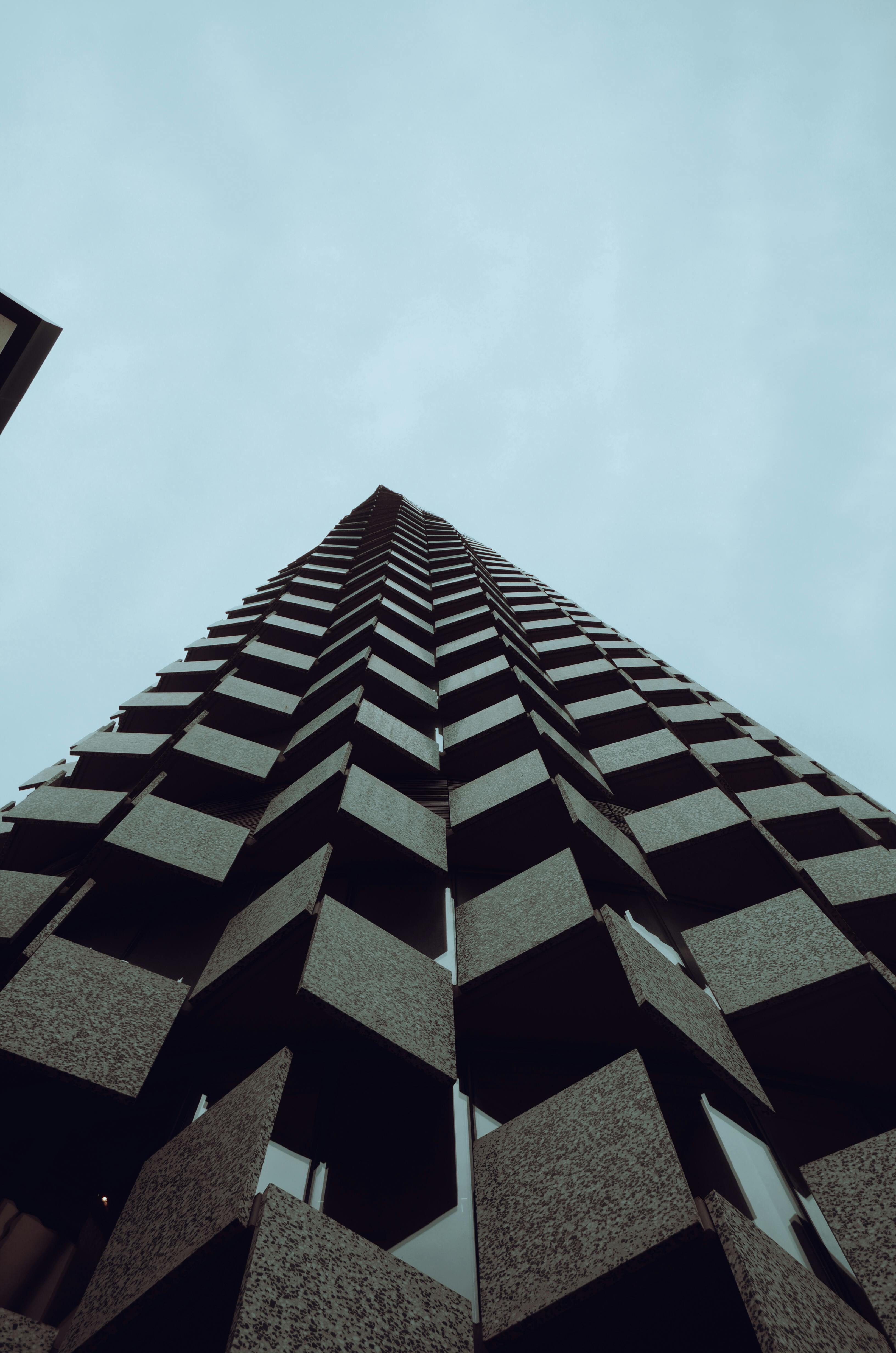 Why creatinine is high?