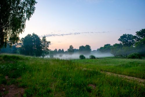 Free Beautiful misty morning in a lush green field with trees and soft fog. Stock Photo