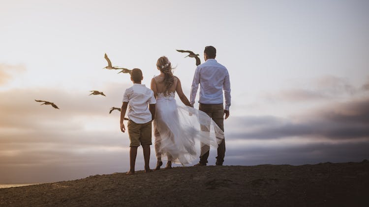 Back View Shot Of Happy Family Holding Each Others Hand While Watching The Flock Of Birds Flying In The Sky