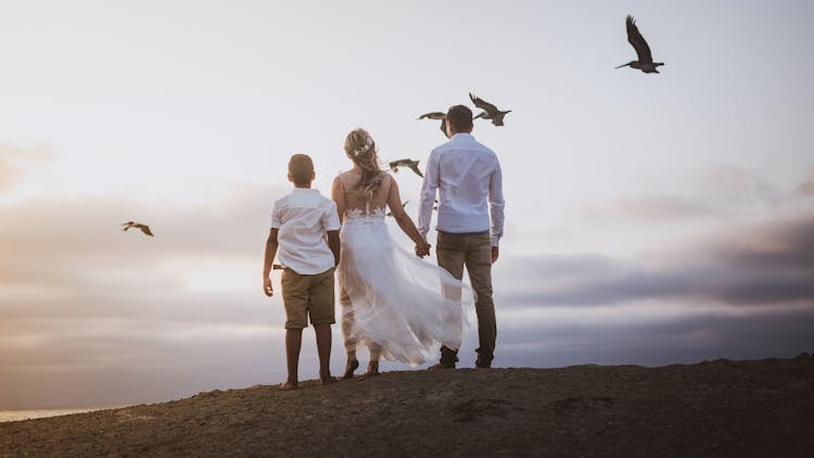 Back View Shot Of Happy Family Holding Each Others Hand While Watching The Flock Of Birds Flying In The Sky