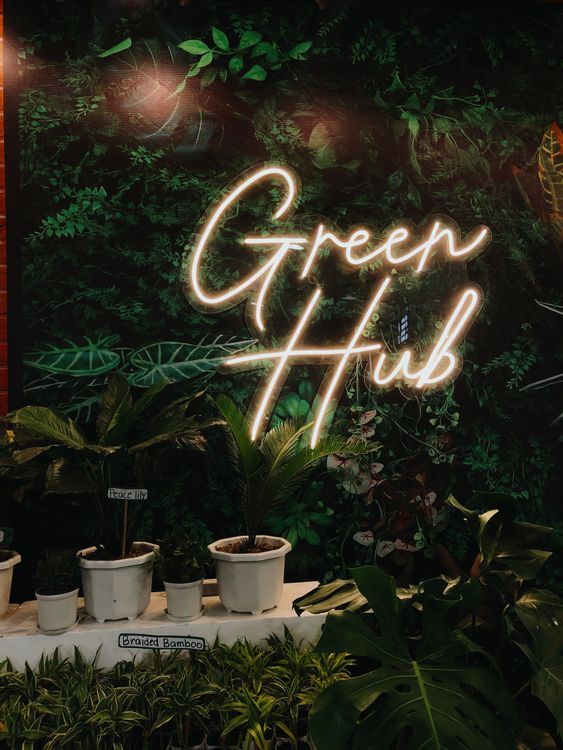 Led Sign Above Potted Plants · Free Stock Photo