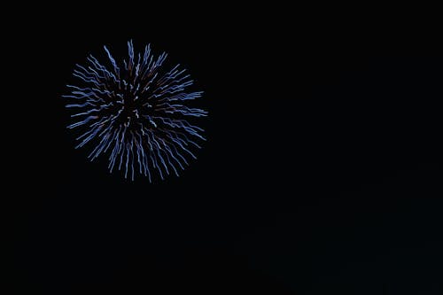 A Firework in the Night Sky 