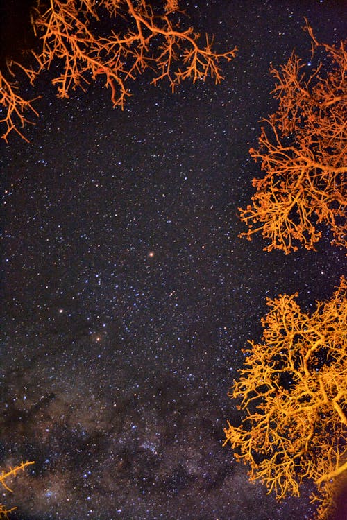Immagine gratuita di cielo, costellazioni, fotografia astronomica