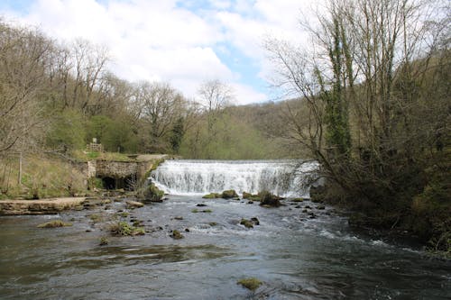 Kostenloses Stock Foto zu bach, bemoosten felsen, blattlos