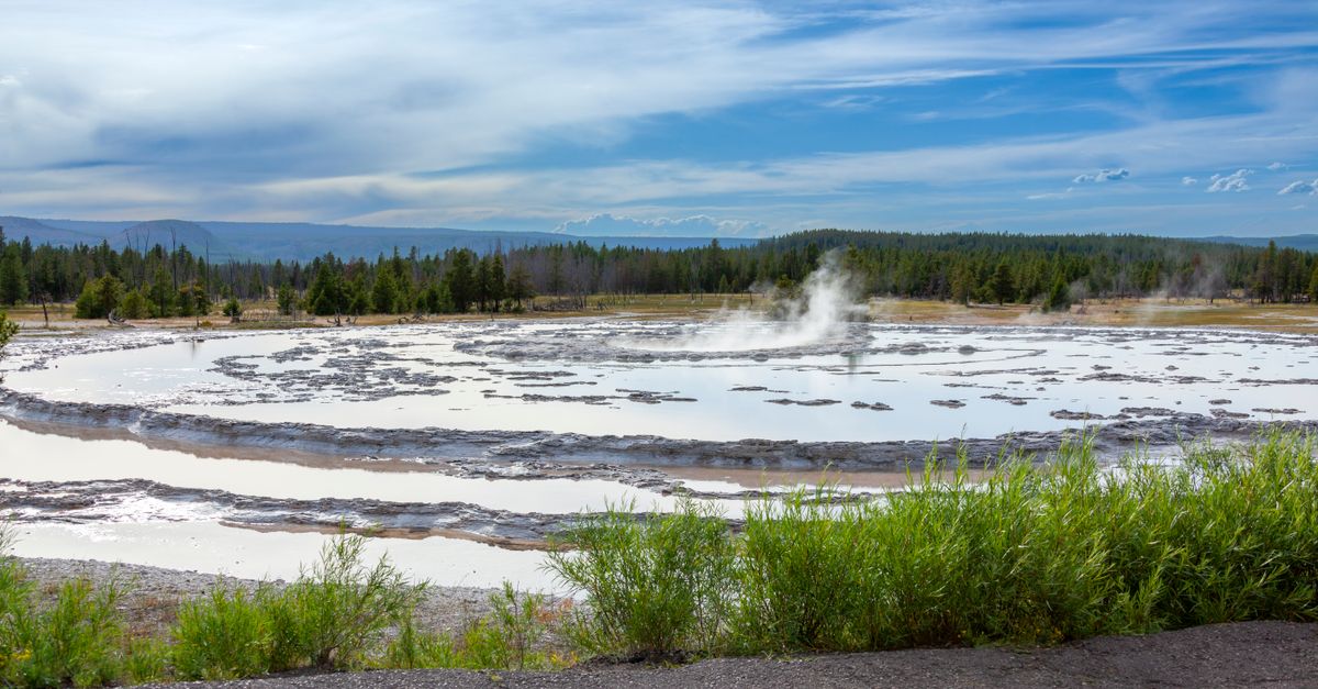 A steaming geothermal lake surrounded by lush greenery in Yellowstone National Park.