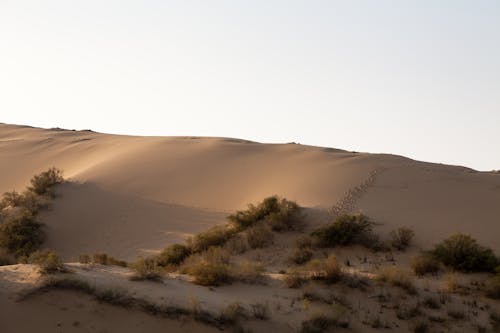 arazi, boş arazi, çekici içeren Ücretsiz stok fotoğraf