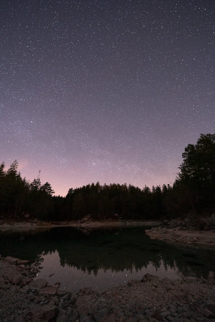 A Lake In The Forest Under The Starry Night 