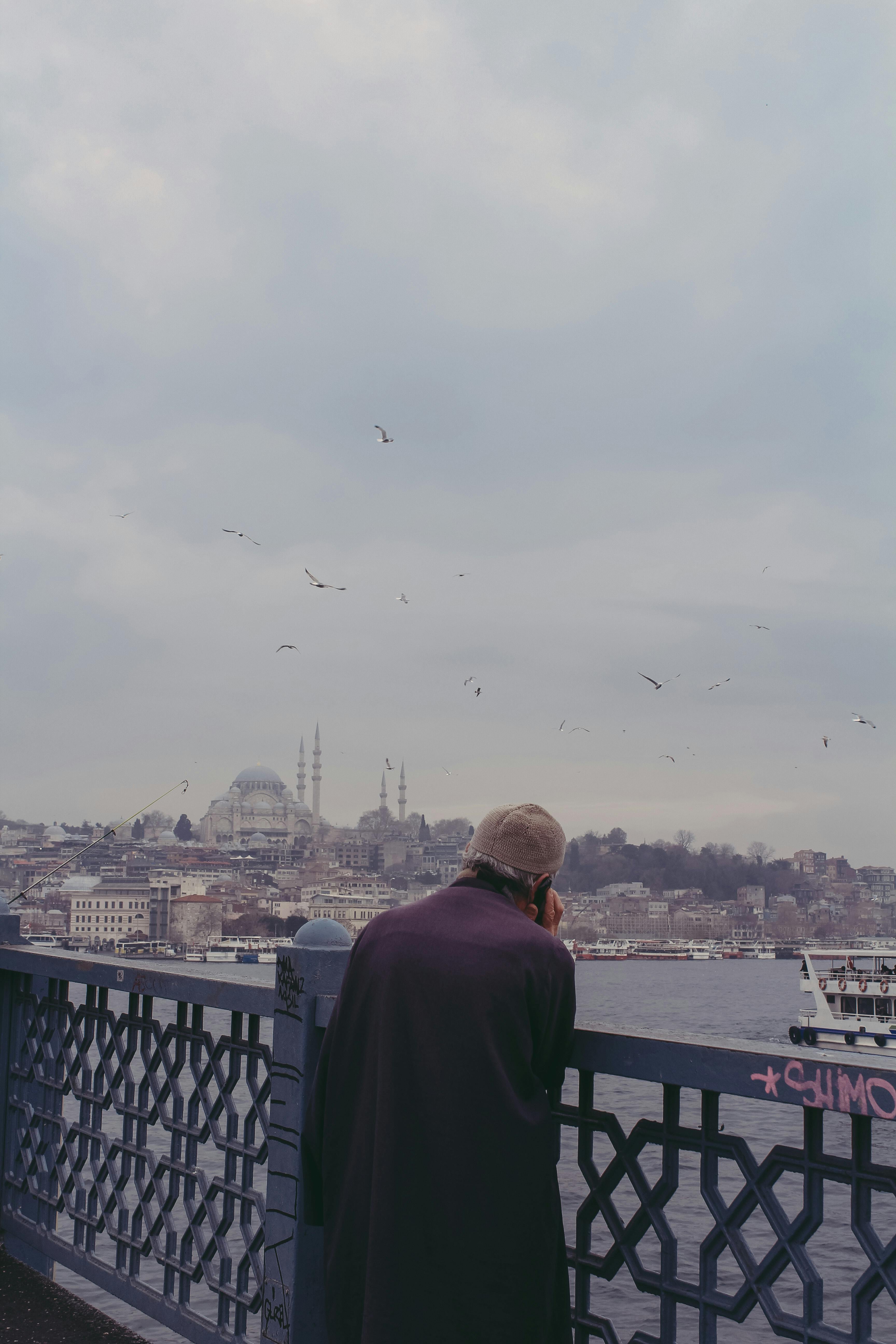 What animals mourn their dead?