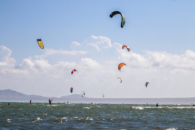 Windsurfers On Sea 