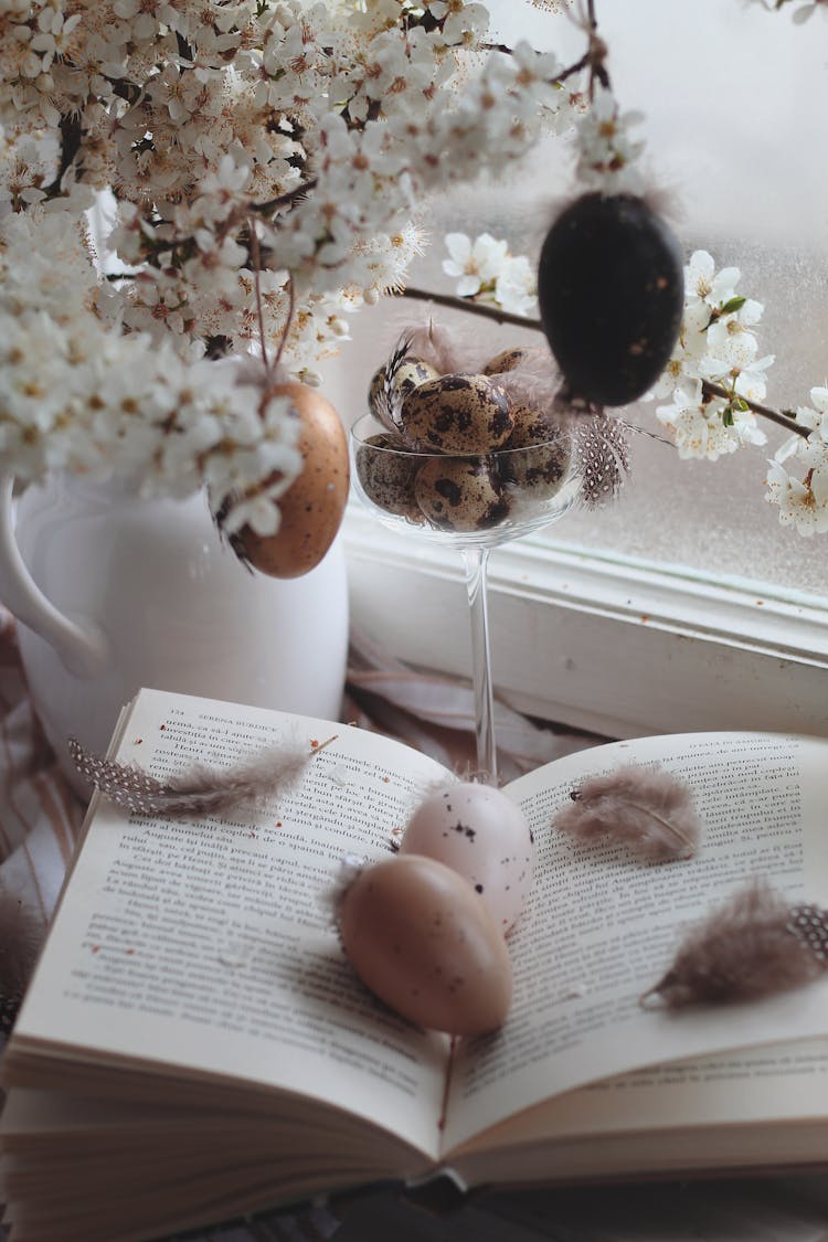 Photo Of Feathers And Eggs On A Book