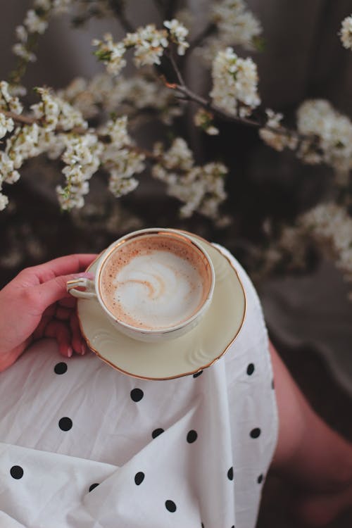 Gratis arkivbilde med cappuccino, drikke, hånd