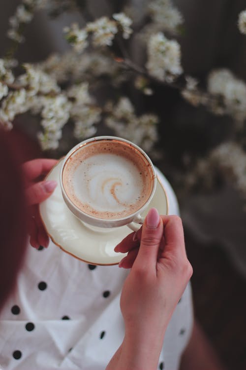 คลังภาพถ่ายฟรี ของ กาแฟในถ้วย, คาปูชิโน่, จับ