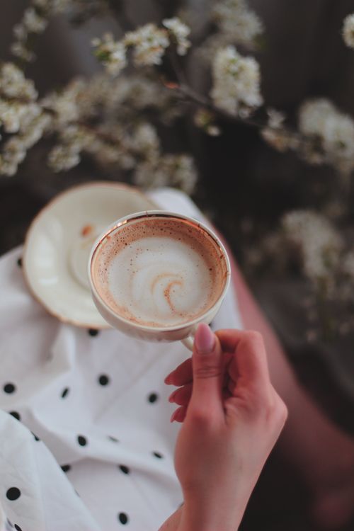 Free A hand holding a cappuccino, surrounded by delicate white blossoms. Stock Photo