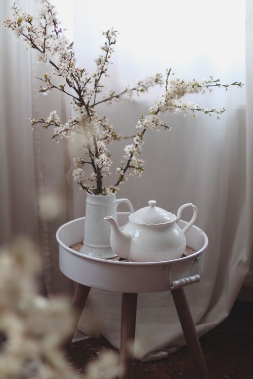 Free A white teapot and cherry blossom branches adorn a minimalist indoor table scene. Stock Photo