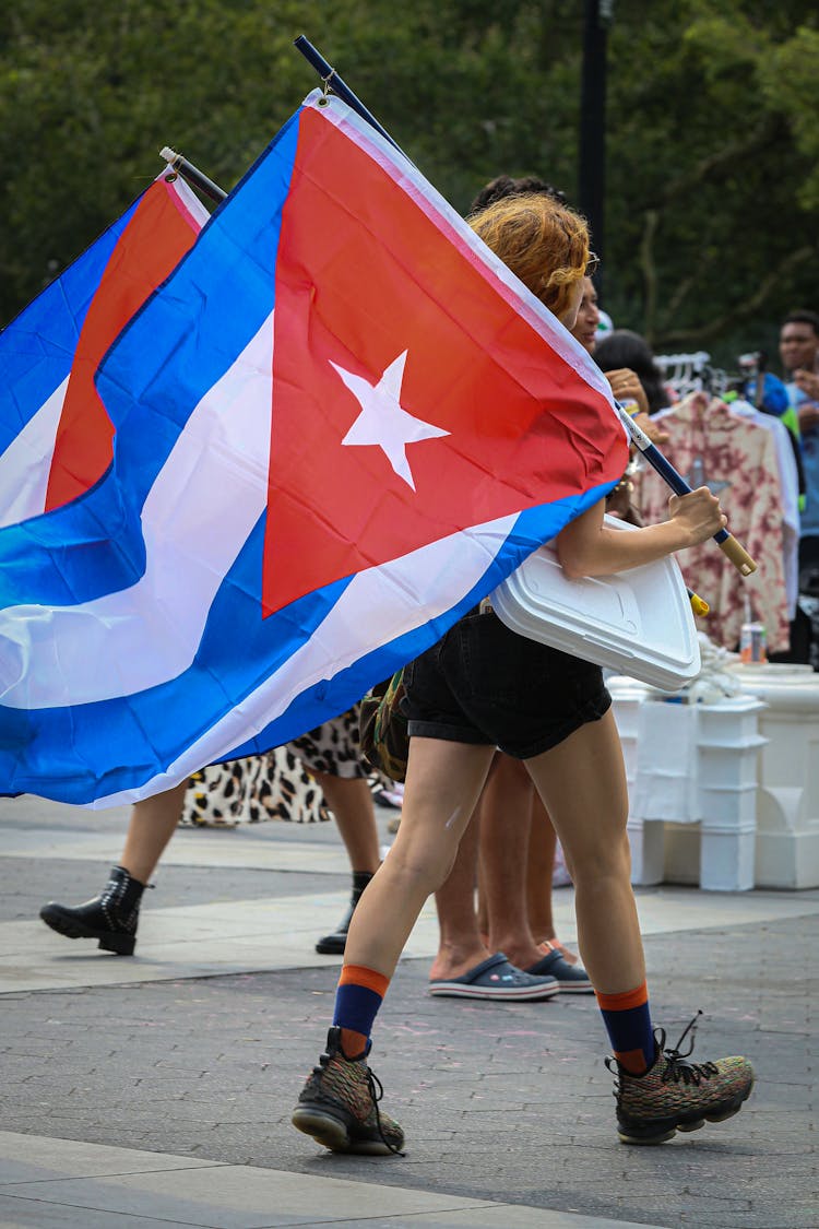 People Carrying Flags 