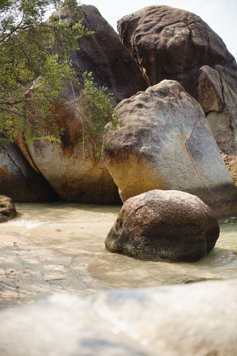A serene landscape featuring eroded boulders and branches by the water edge.