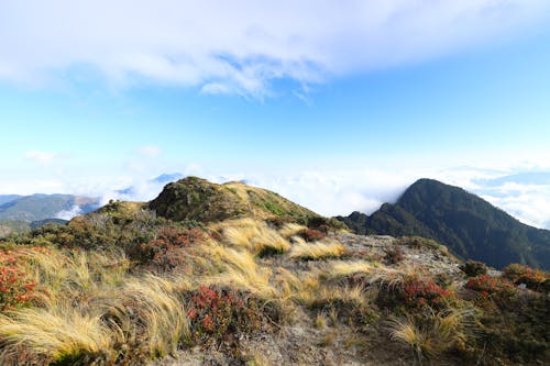 丘陵, 健行, 全景 的 免费素材图片