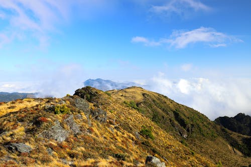 Gratuit Imagine de stoc gratuită din deal, munte, natură Fotografie de stoc