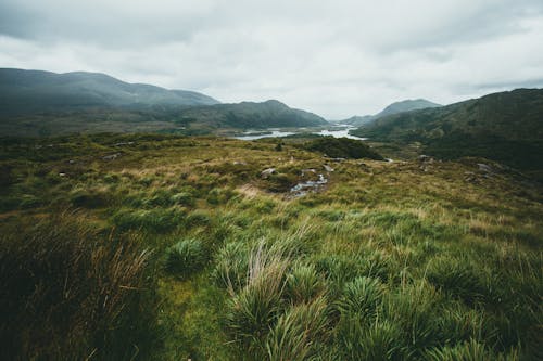 Pasture in Mountains and Overcast