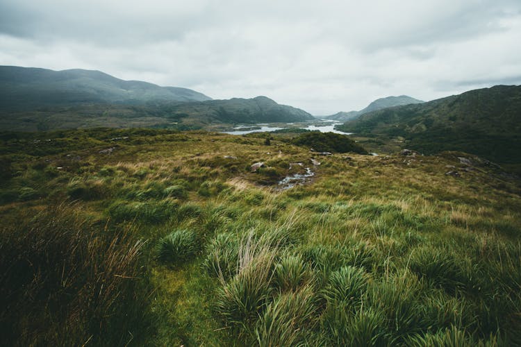 Pasture In Mountains And Overcast