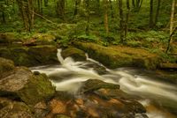 Forest stream over rocks — photo by Mark Barnwell on Pexels