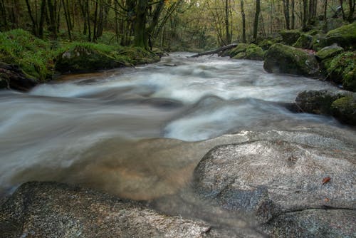 Kostenloses Stock Foto zu fluss, wasserfall