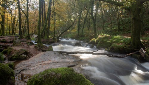 Foto d'estoc gratuïta de cascada, riu