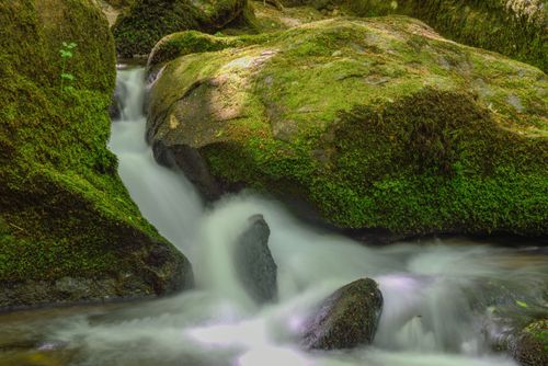 Free A tranquil stream flowing over lush moss-covered rocks, offering a peaceful nature scene. Stock Photo