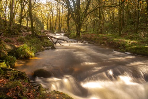 Foto d'estoc gratuïta de cascada, riu