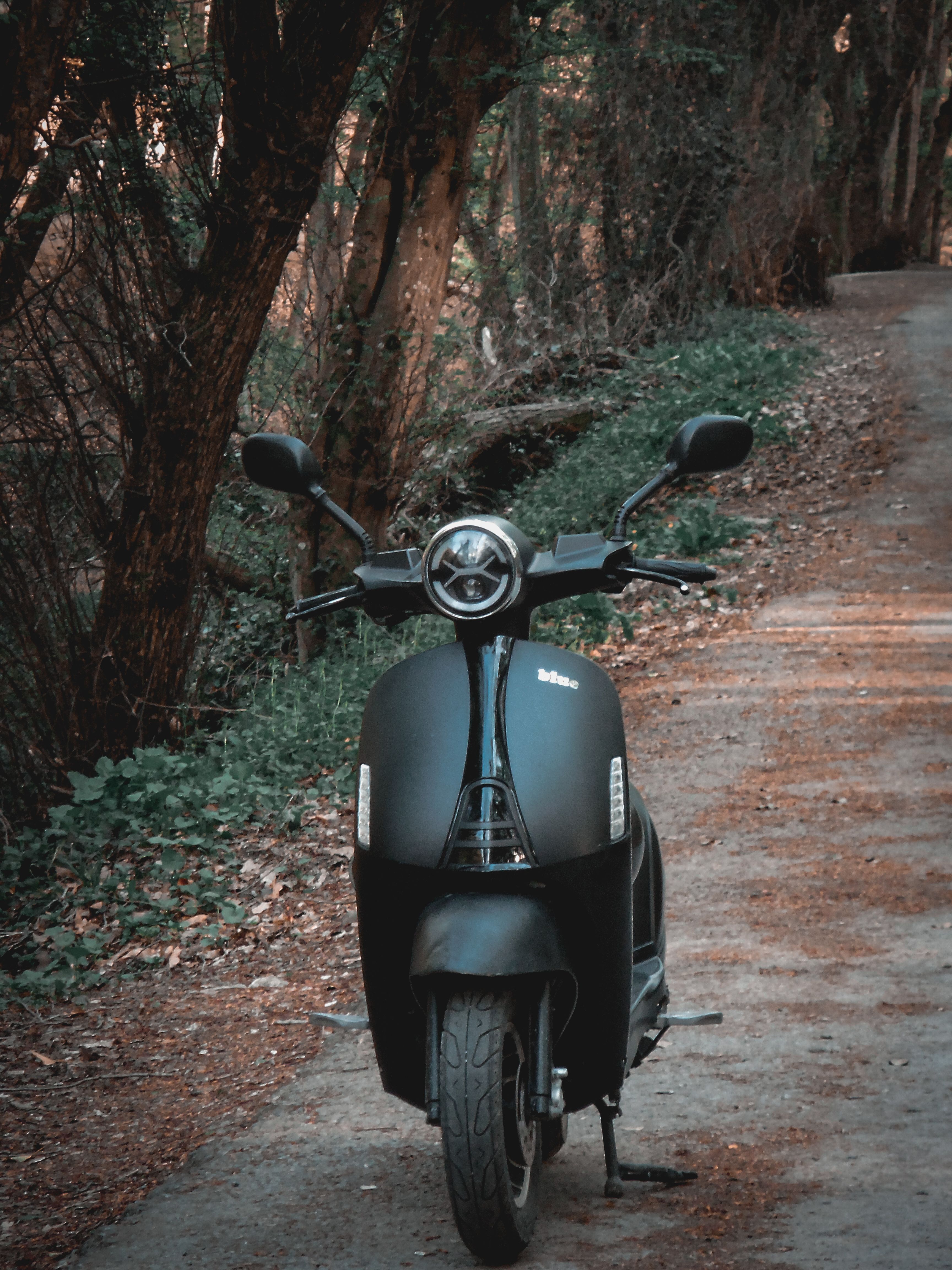 A black scooter parked on a scenic forest path, evoking a sense of adventure.