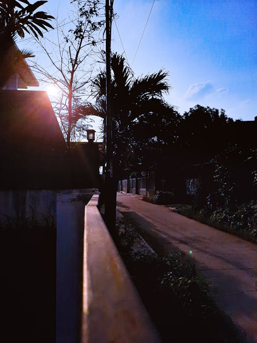 Základová fotografie zdarma na téma asfaltová silnice, jasné slunce, zadní světlo