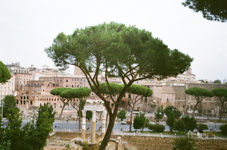 Roman Forum In Rome