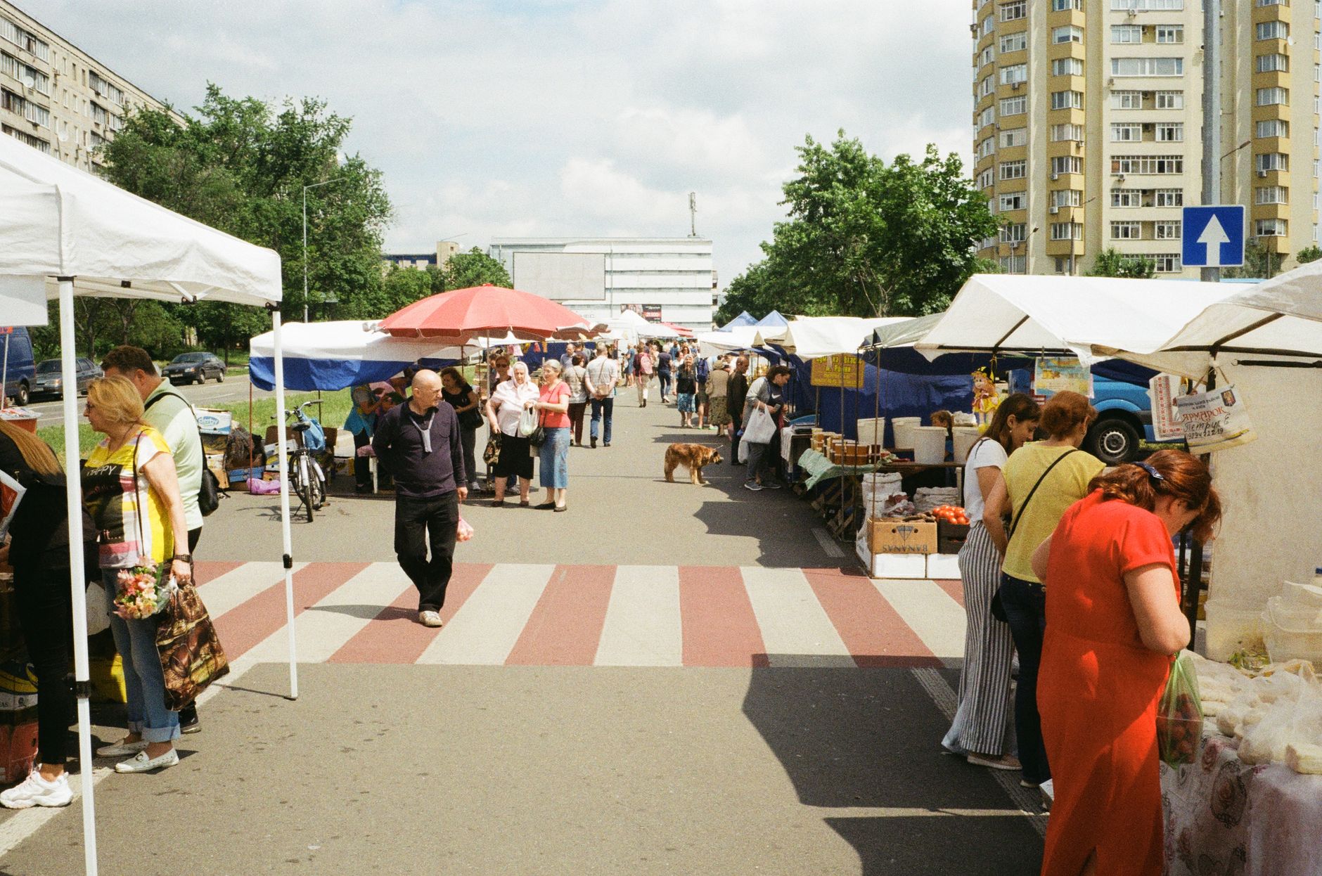Prețurile zilei în Craiova – 2026-07-11