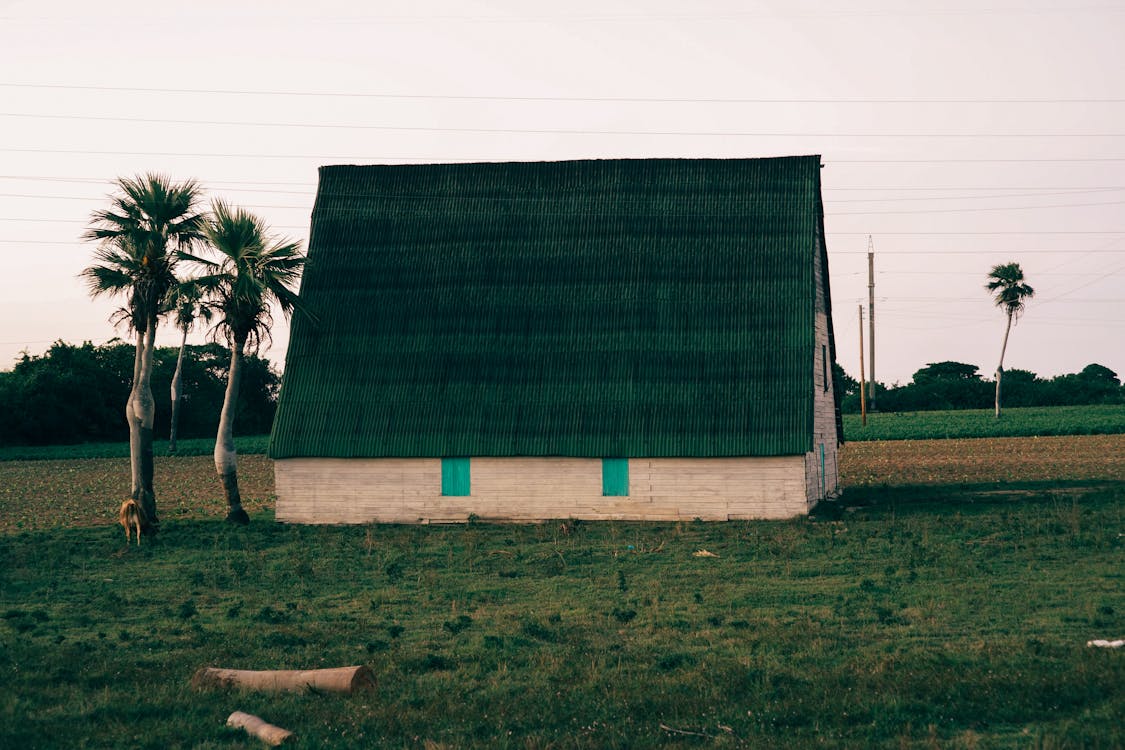 Immagine gratuita di alberi, azienda agricola, edifici