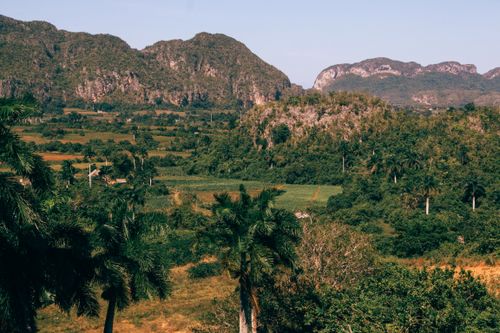 Free Scenic view of tropical greenery and mountain range on a clear day. Stock Photo