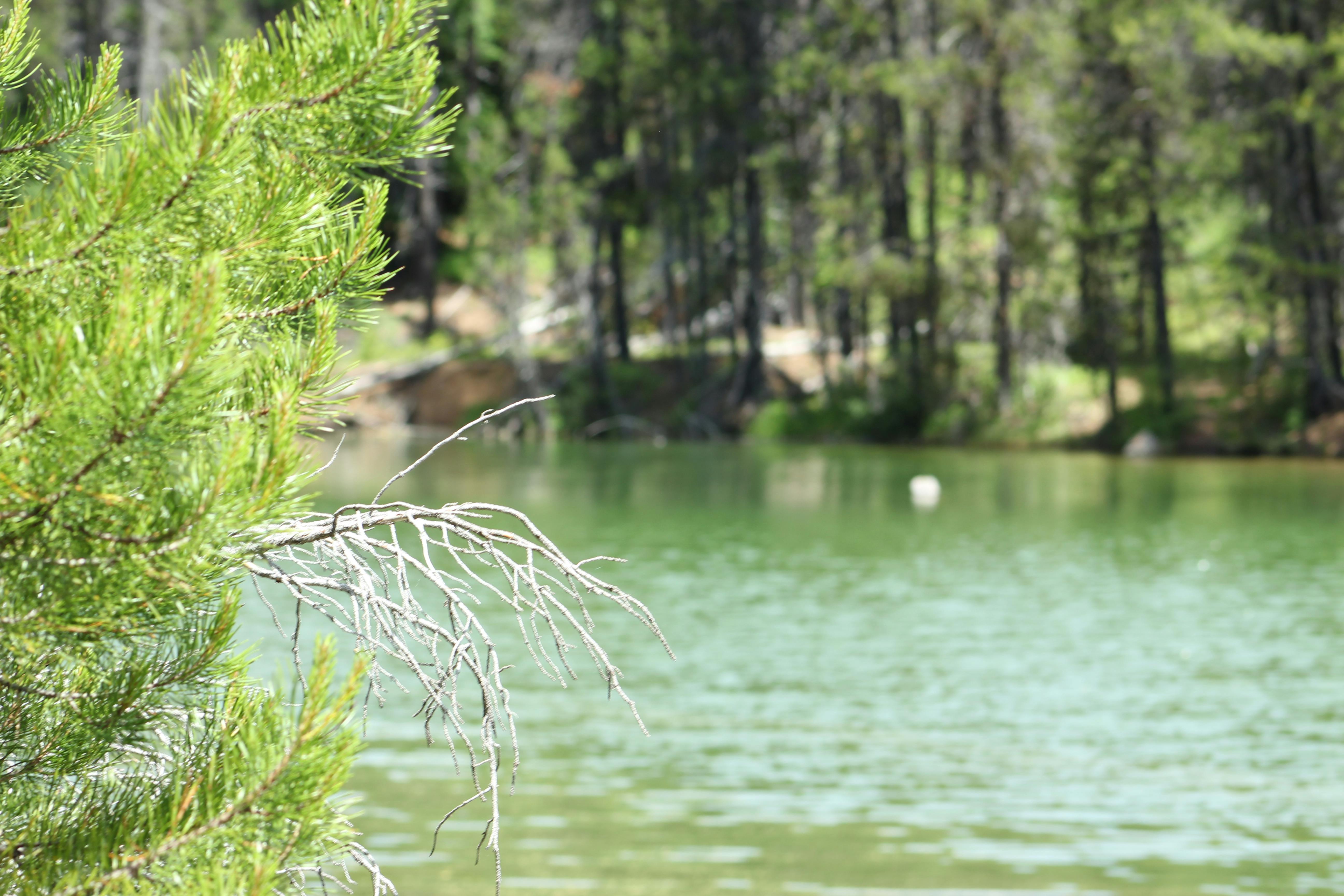 Free stock photo of home, lookingglass, mountain