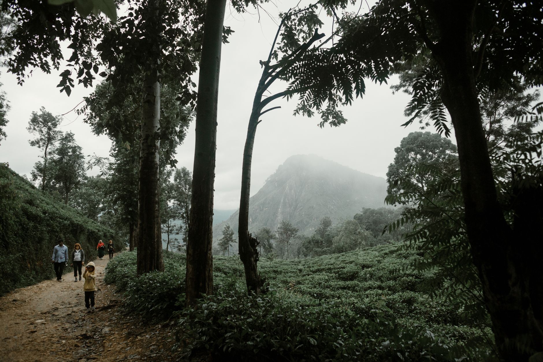 Kalawana in 4 Days: The Complete Itinerary