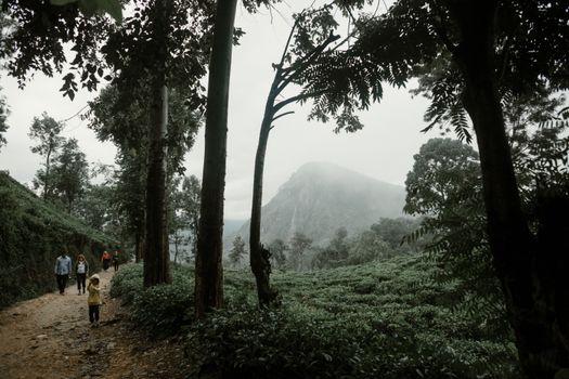 A family enjoys a tranquil hike along a misty mountain trail in Sri Lanka's lush landscape.