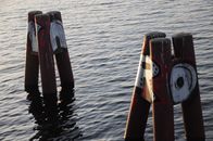 Photo of Buoys Floating on Water