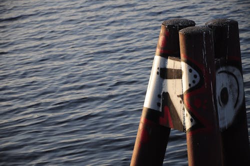 Photograph of a Buoy