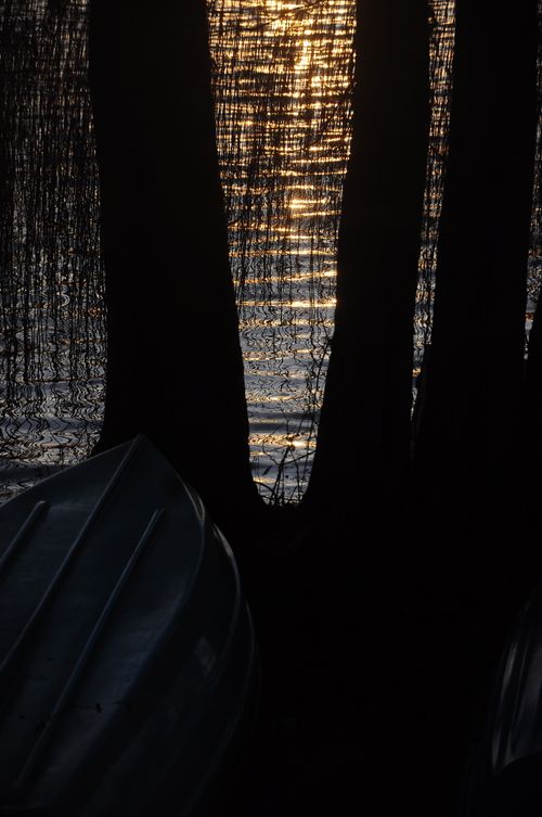 Free Tranquil sunset over a calm lake, framed by silhouetted trees and a boat. Stock Photo