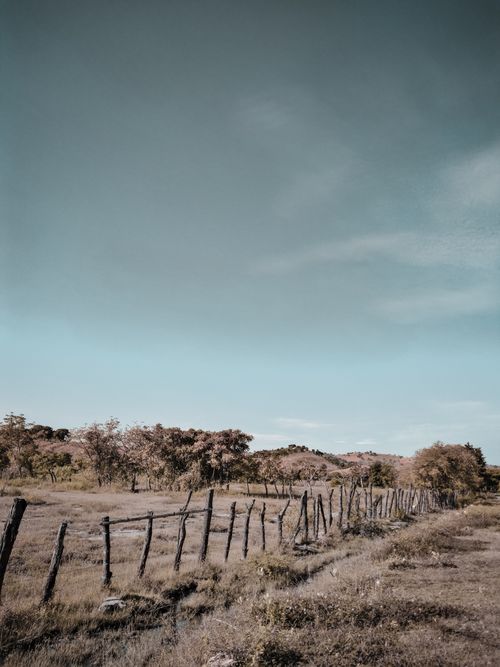 Free Peaceful rural scene with a wooden fence in Nusa Tenggara Barat, Indonesia under a clear sky. Stock Photo